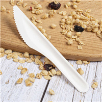 biodegradable  paper knife from disposablesInc.com. The best import service in China. Import your disposable items and products from us.